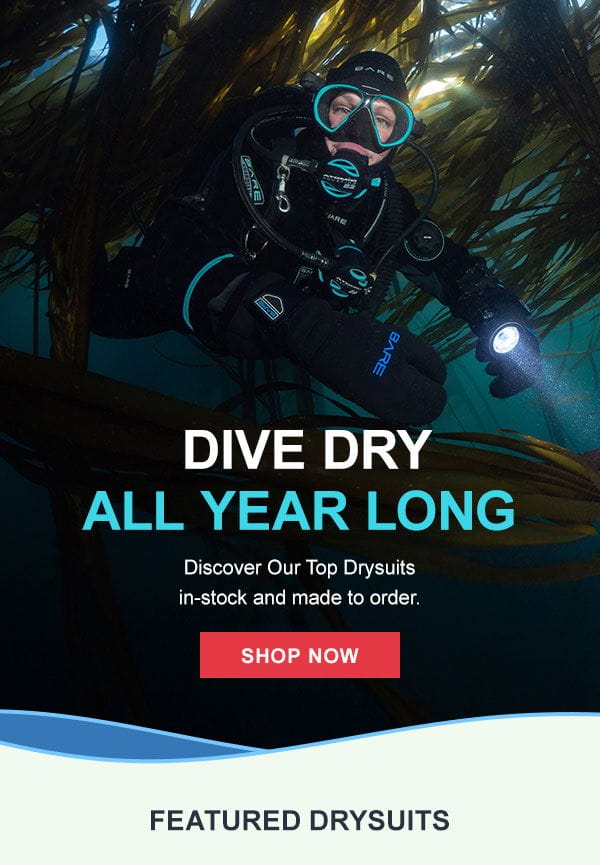 Dive Dry | Shop Now