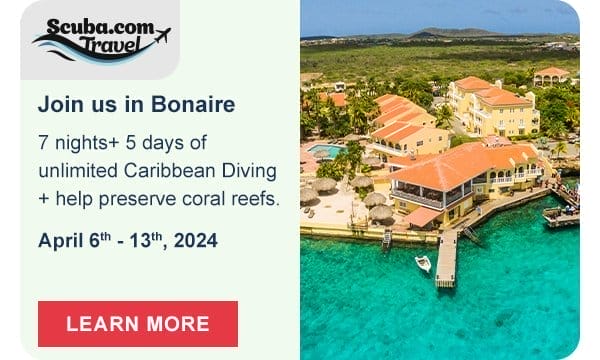 Join us in Bonaire | Learn More