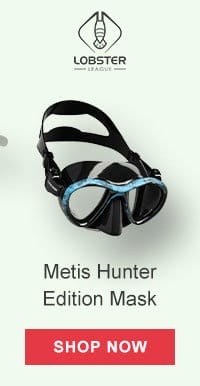 Metis Hunter Edition Mask