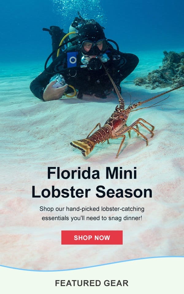 Florida Mini Lobster Season | Shop Now