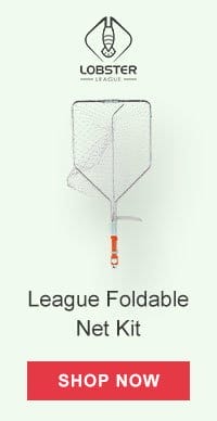 League Foldable Net Kit