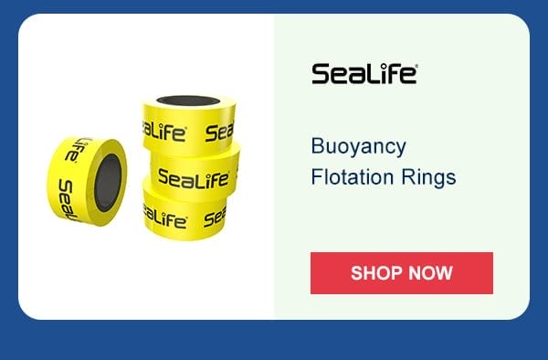 Buoyancy Flotation Rings | Shop Now
