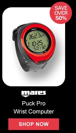 Puck Pro Wrist Computer