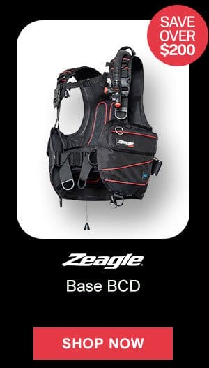 Base BCD