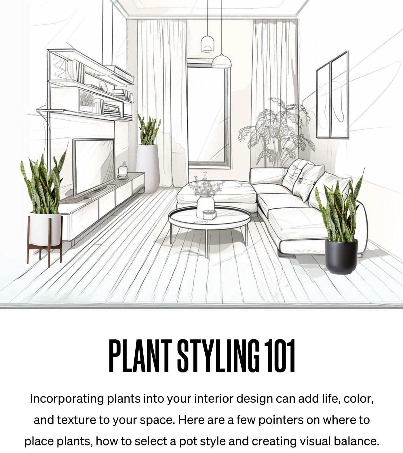 Plant Styling 101