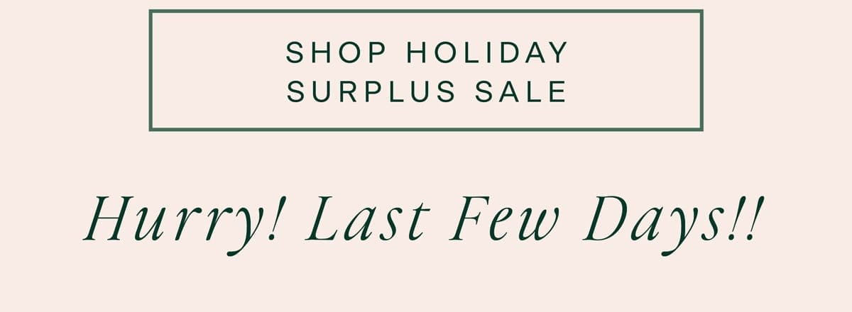 Shop Holiday Surplus Sale Hurry! Last Few Days!!