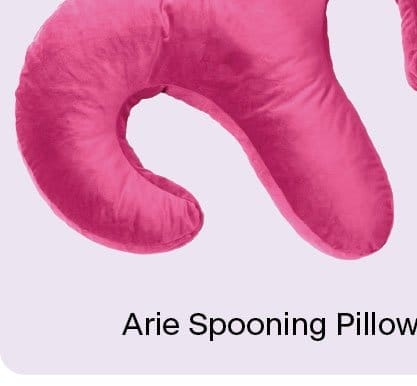 Arie Toy Mount Snuggle Pillow for Couples