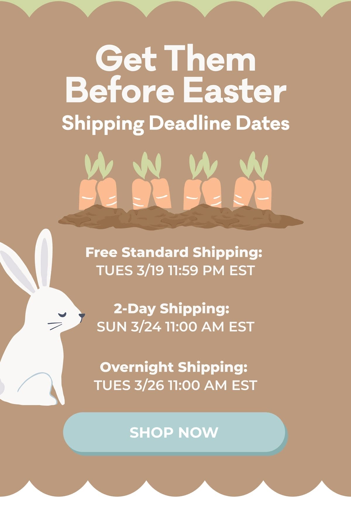 Get Them Before Easter | Shipping Deadline Dates | Free Standard Shipping: TUES 2/6 11:59 PM EST | 2-Day Shipping: THURS 2/8 11:00 AM EST | Overnight Shipping: FRI 2/9 11:0 AM EST | SHOP NOW