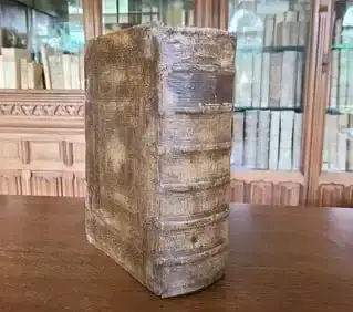 Ink Of Ages: 15th-19th Century Antique Books