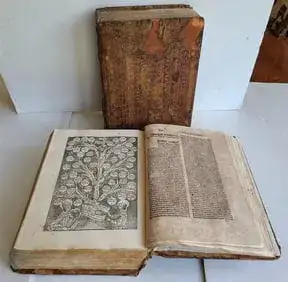 Ink Of Ages: 15th-19th Century Antique Books