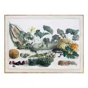 Company School, Benjamin Wolff Collection - Watercolor with Melon, Figs, and Other Exotic Fruits