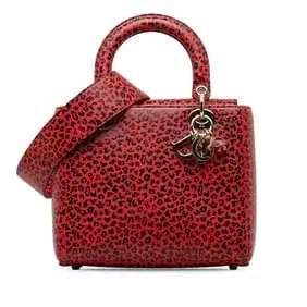 Medium Leather Leopard Print Lady Dior