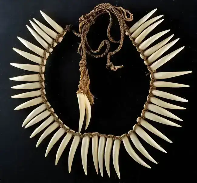 Fine 19th C. Samoan Whale Tooth Necklace - Ula Lei