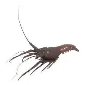 Japanese Articulated Bronze Lobster