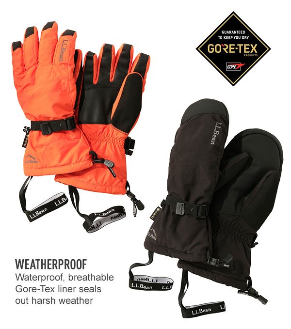 GORE-TEX Primaloft Gloves.