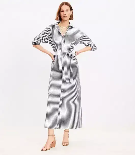 Striped Poplin Belted Pocket Shirtdress