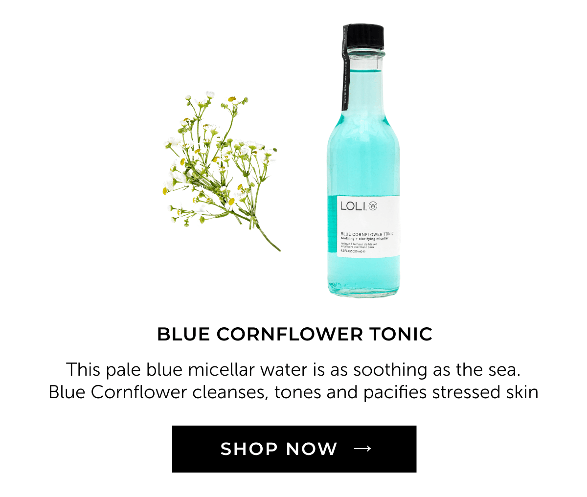 Blue Cornflower Tonic