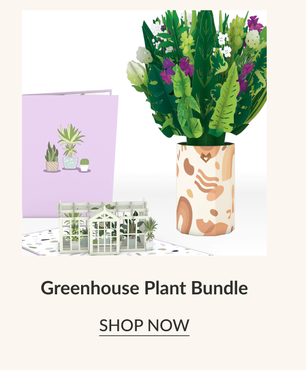 Greenhouse Plant Bundle | SHOP NOW