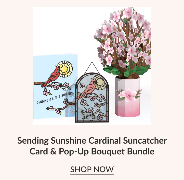 Sending Sunshine Cardinal Suncather Card & Pop-up Bouquet Bundle