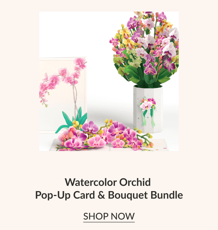 Waltercolor Orchid Pop-Up Card & Bouquet Bundle | SHOP NOW