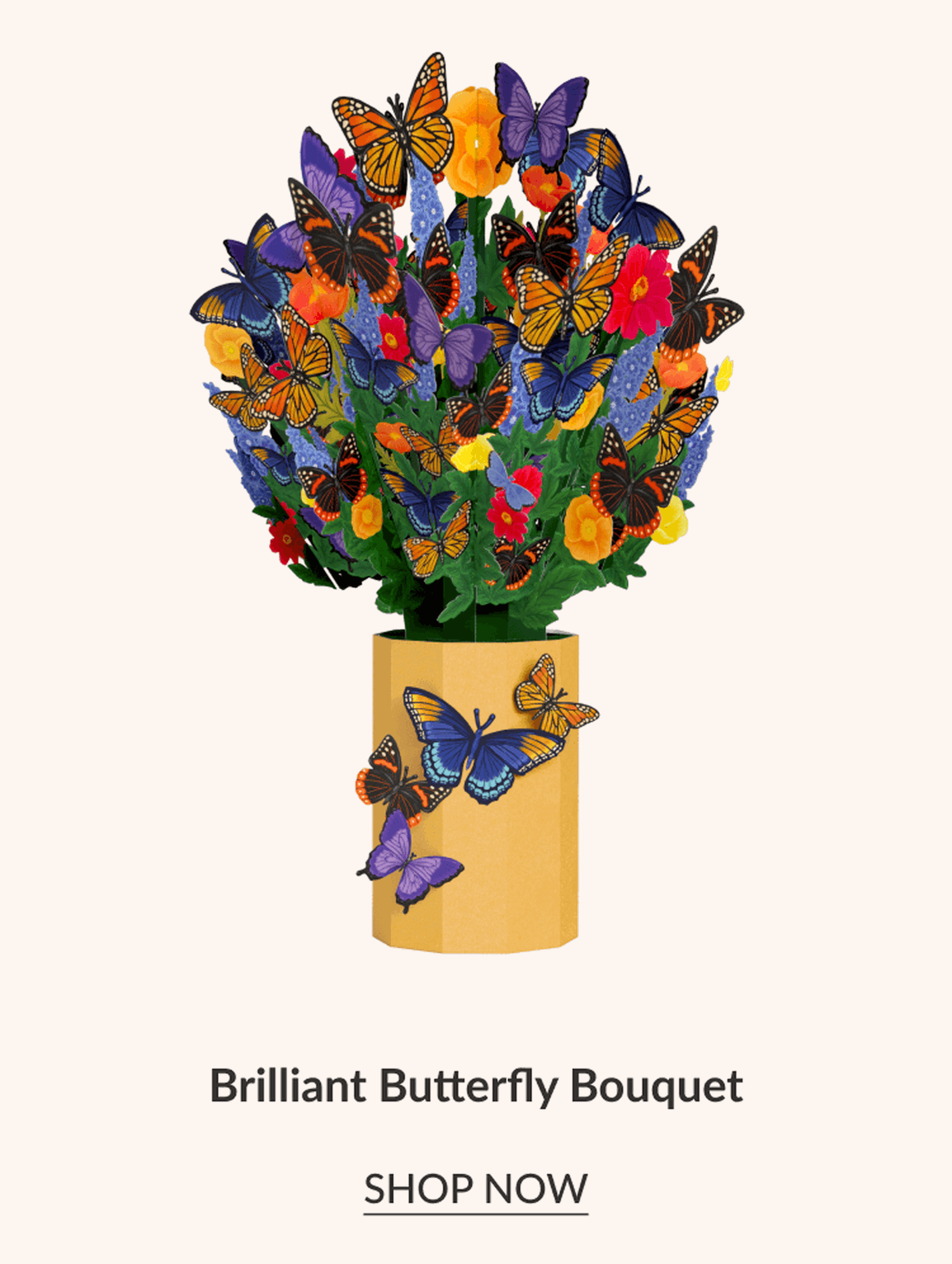 Brilliant Butterfly Bouquet | SHOP NOW