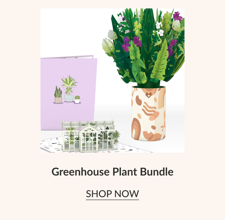 Greenhouse Plant Bundle | SHOP NOW