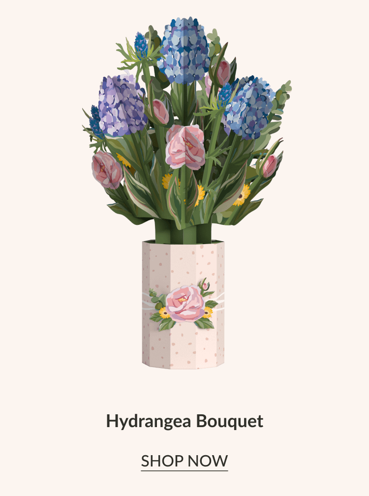 Hydrangea Bouquet | SHOP NOW