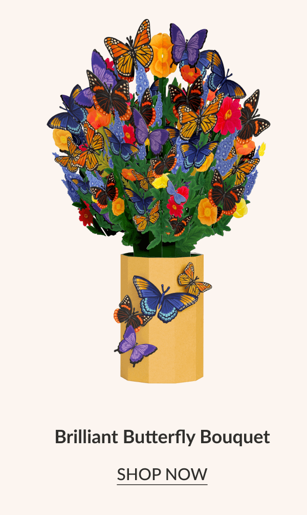 Brilliant Butterfly Bouquet | SHOP NOW