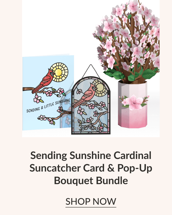 Sending Sunshine Cardinal Suncather Card & Pop-up Bouquet Bundle