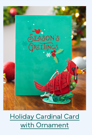Holiday Cardinal Card with Ornament