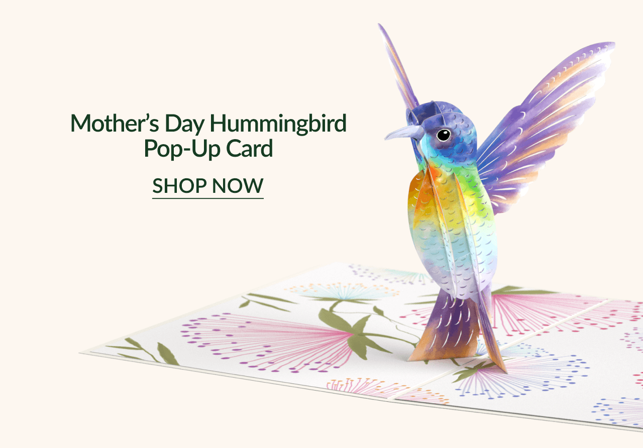 Mother's Day Hummingbird Pop-Up Card | SHOP NOW