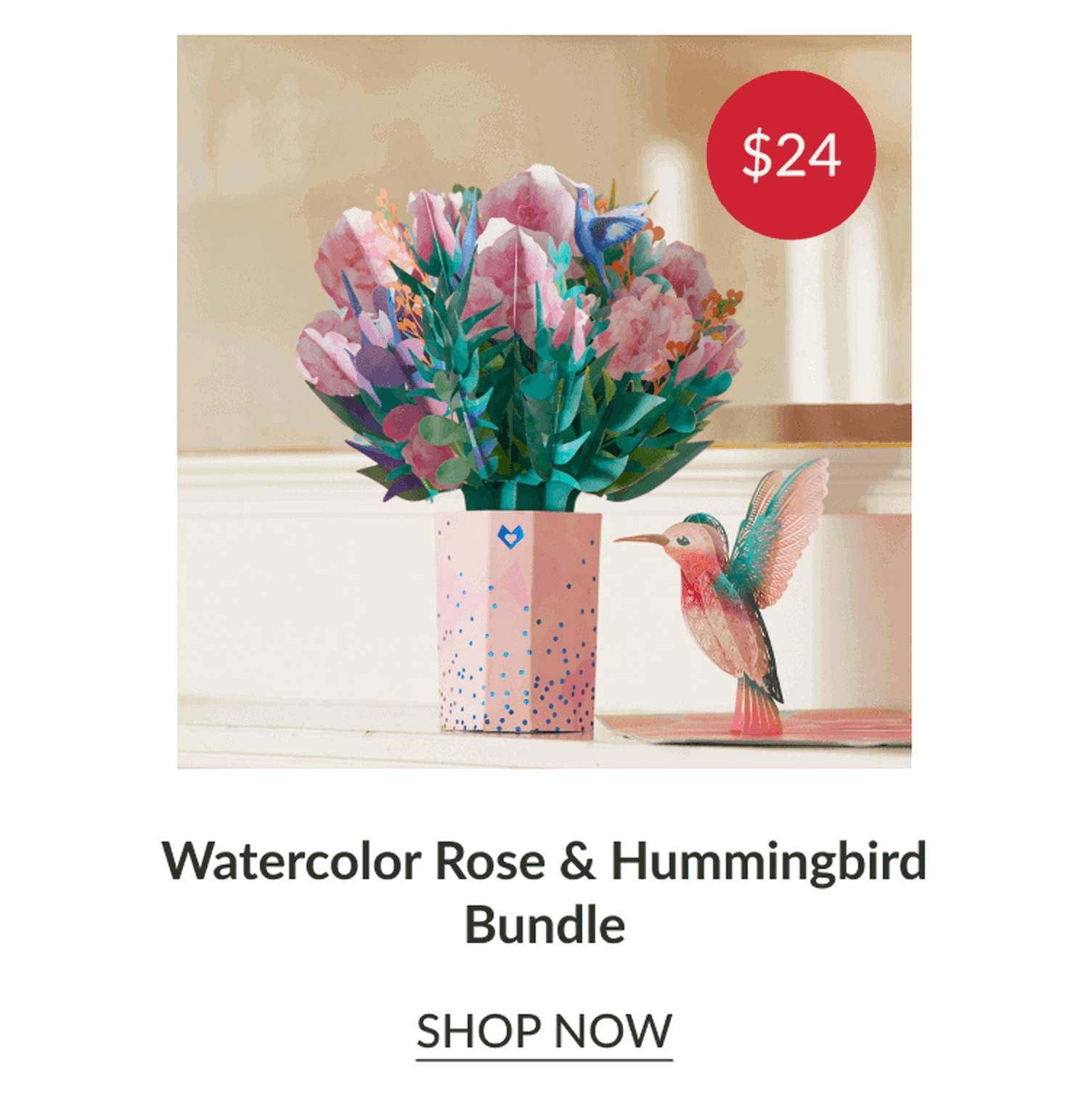 Watercolor Rose & Hummingbird Bundle | SHOP NOW