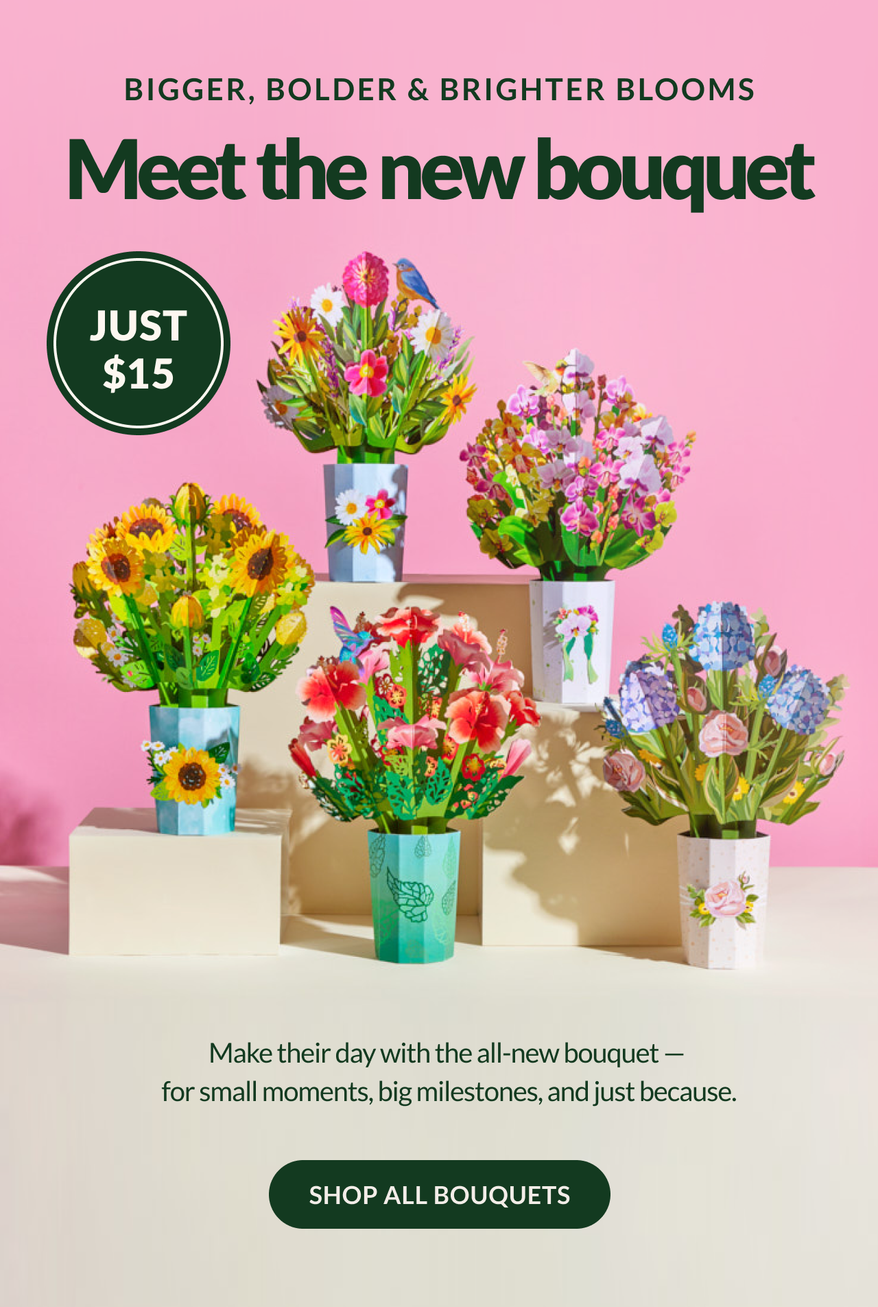 BIGGER, BOLDER & BRIGHTER BLOOMS | Meet the new bouquet | JUST \\$15 | Make their day with the all-new-bouquet - for small moments, big milestones, and just because | SHOP ALL BOUQUETS