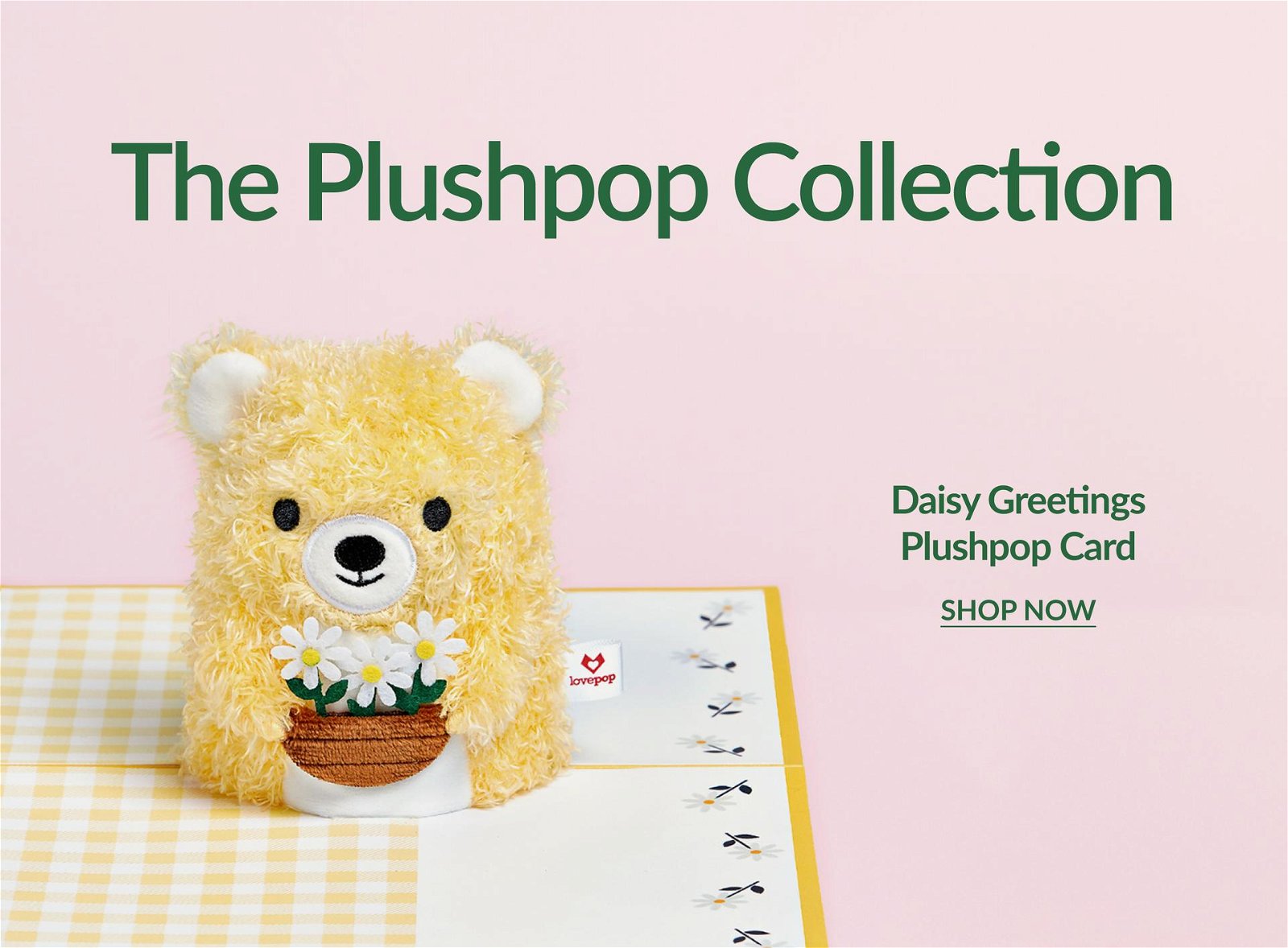 The Plushpop Collection | Daisy Greetings Plushpop Card | SHOP NOW