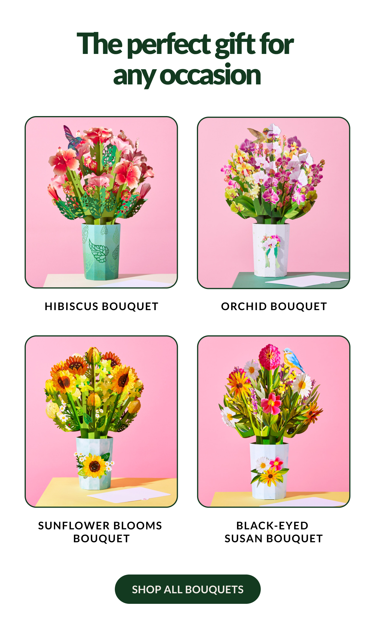 The perfect gift for any occasion | HIBISCUS BOUQUET | ORCHID BOUQUET | SUNFLOWER BLOOMS BOUQUET | BLACK-EYED SUSAN BOUQUET | SHOP ALL BOUQUETS