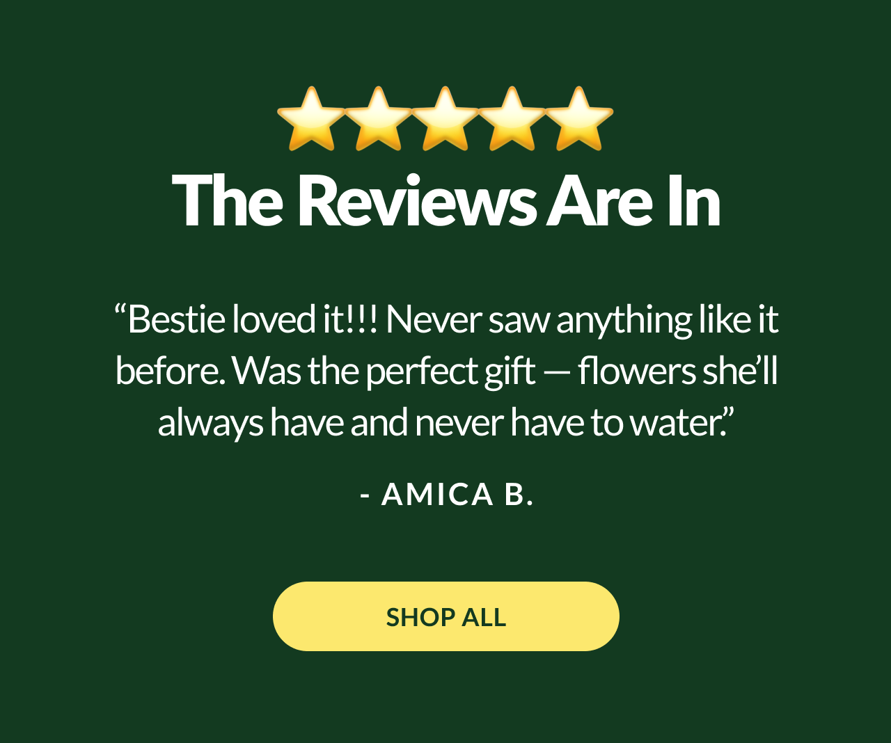 FIVE STARS | The Reviews Are In | “Bestie loved it!!! Never saw anything like it before. Was the perfect gift - flowers she’ll always have and never has to water” SHOP ALL