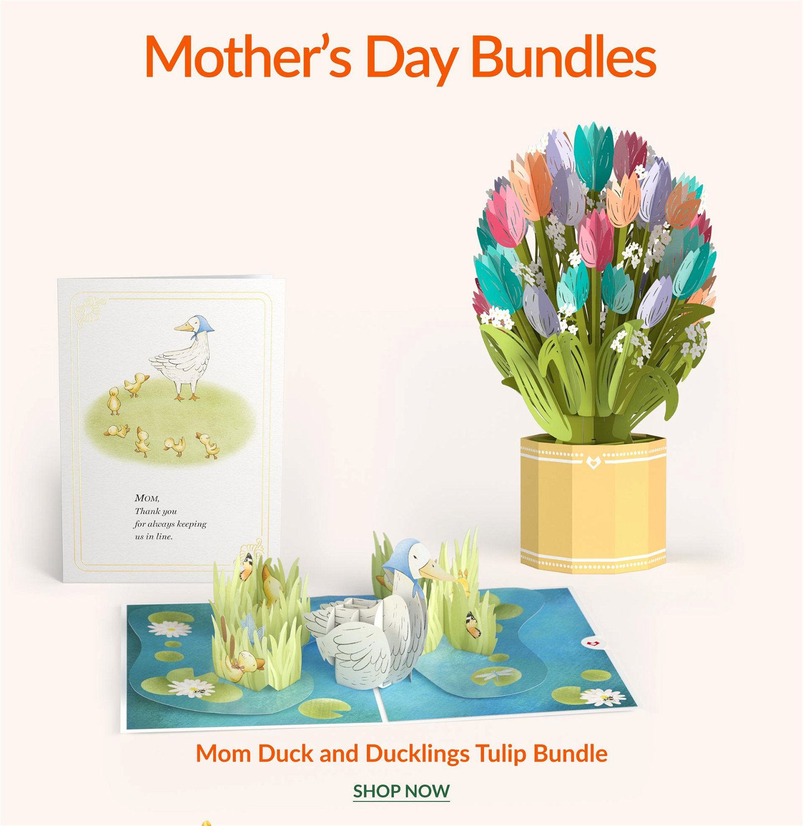 Mother’s Day Bundles | Mom Duck and Ducklings Tulip Bundle | SHOP NOW