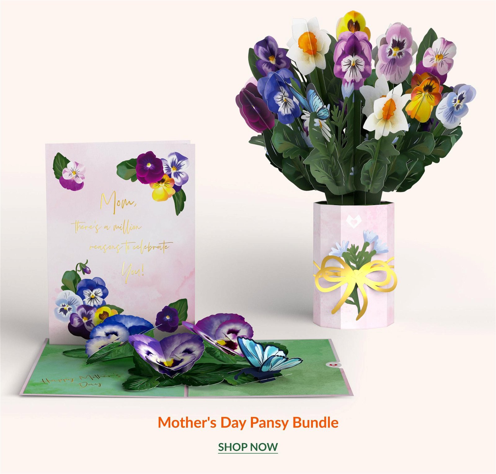 Mother’s Day Pansy Bundle | SHOP NOW