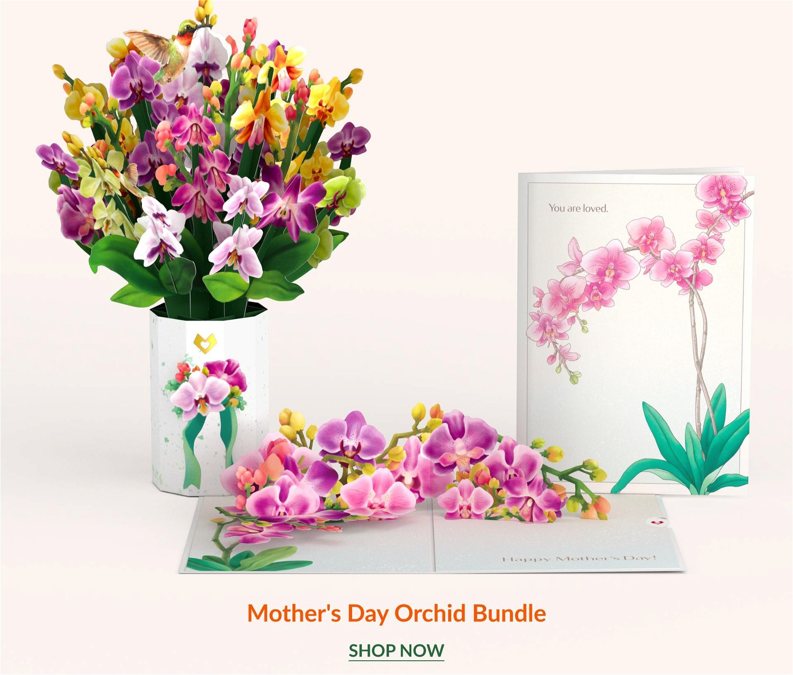 Mother’s Day Orchid Bundle | SHOP NOW