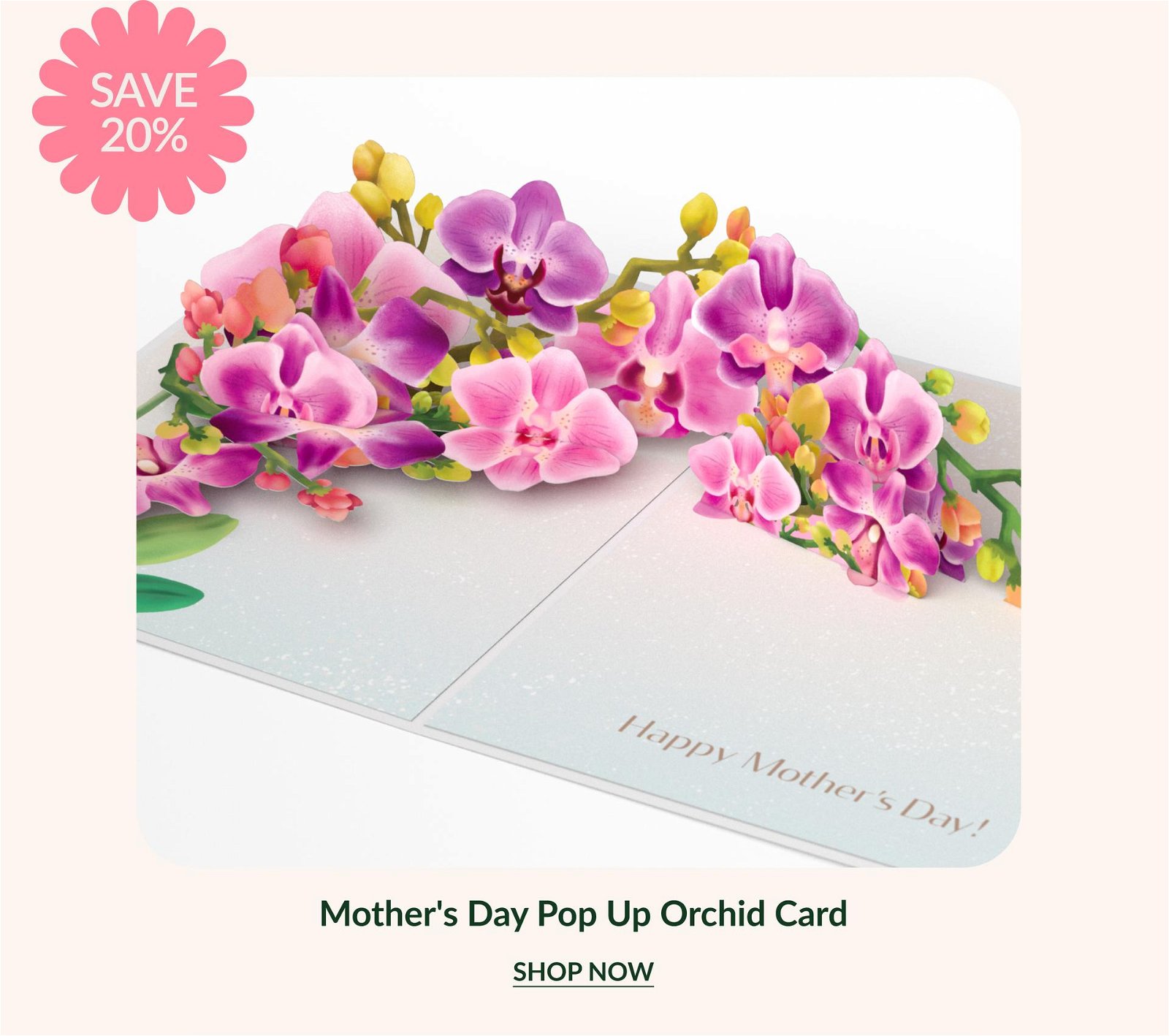 Mother's Day Orchid Pop-Up Card