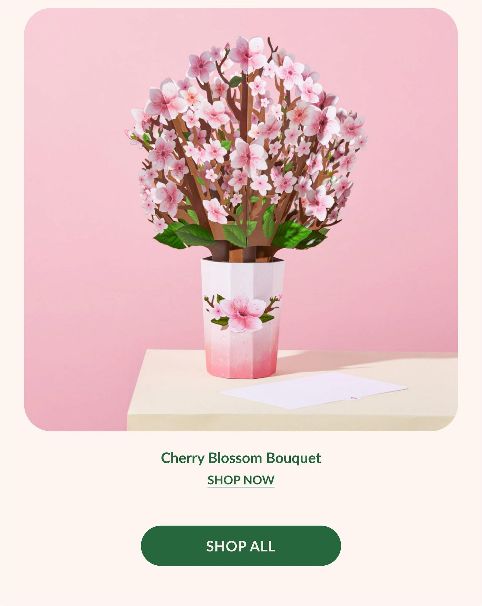 Cherry Blossom Bouquet | SHOP NOW | SHOP ALL