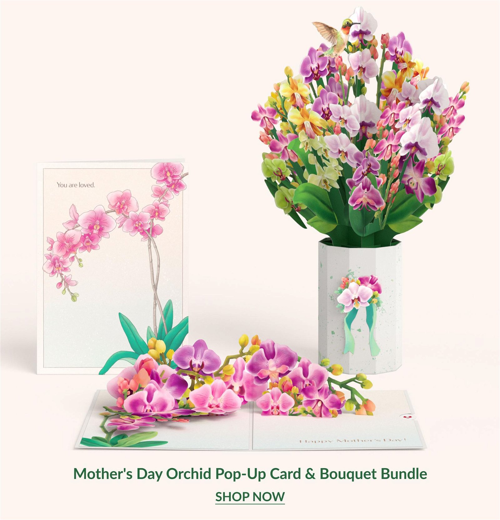Mothers Day Orchid Pop-Up Card & Bouquet Bundle | SHOP NOW