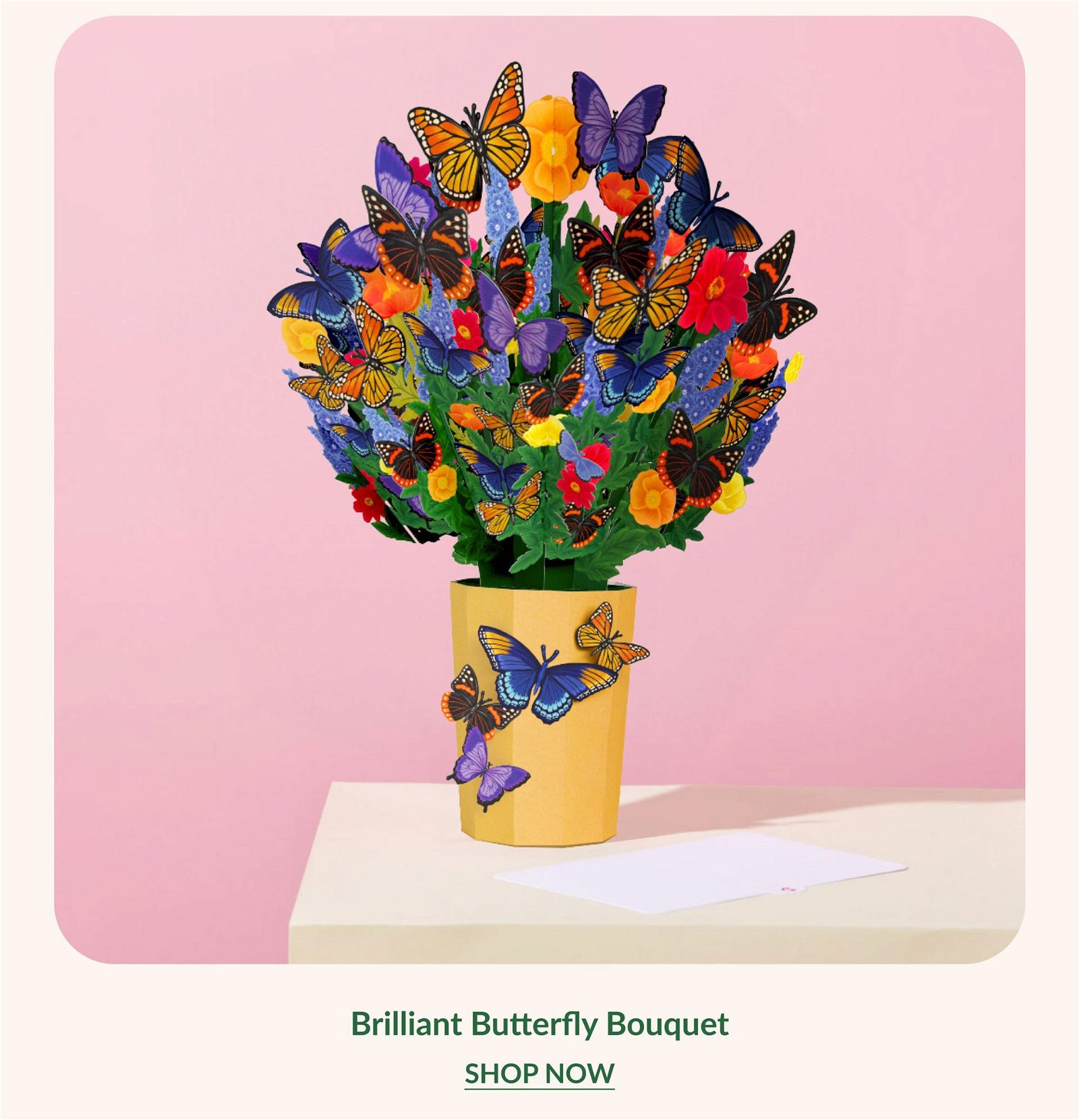 Brilliant Butterfly Bouquet | SHOP NOW