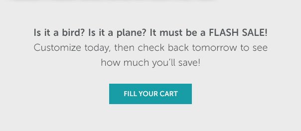 Is it a bird? Is it a plane? It must be a Flash Sale! Customize today, then check back tomorrow to see how much you'll save! | FILL YOUR CART >>