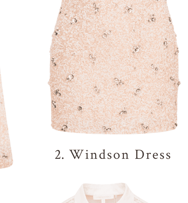 Windson Embellished Mini Dress