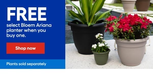 FREE select Bloem Ariana planter when you buy one.