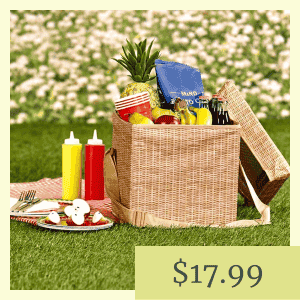 Wicker Picnic Cooler Seat