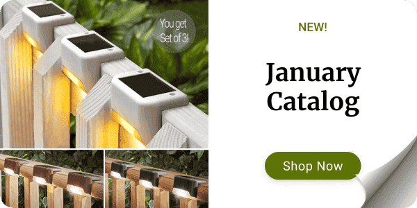 January Catalog