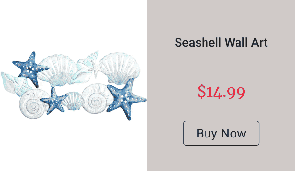 Seashell Wall Art