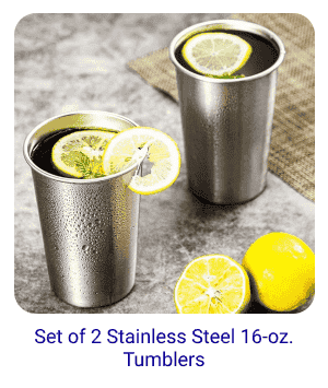 Set of 2 Stainless Steel 16-oz. Tumblers